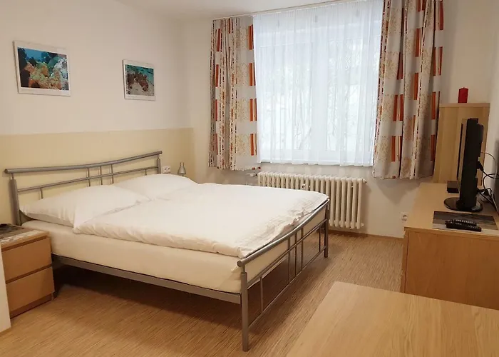 101 Apartment Horní Maršov