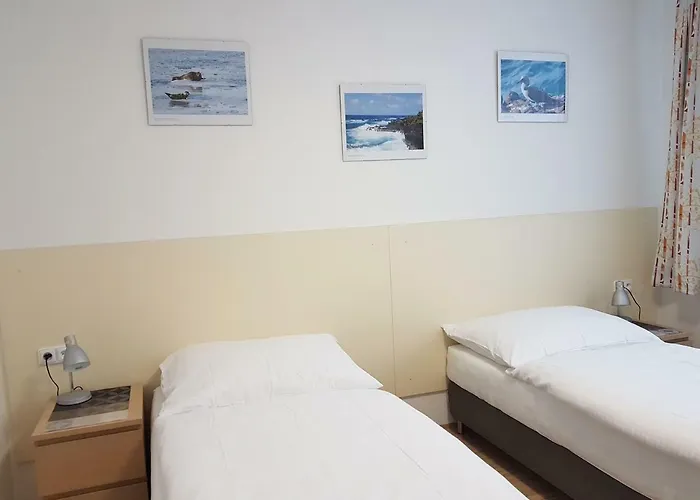 Apartmán 101